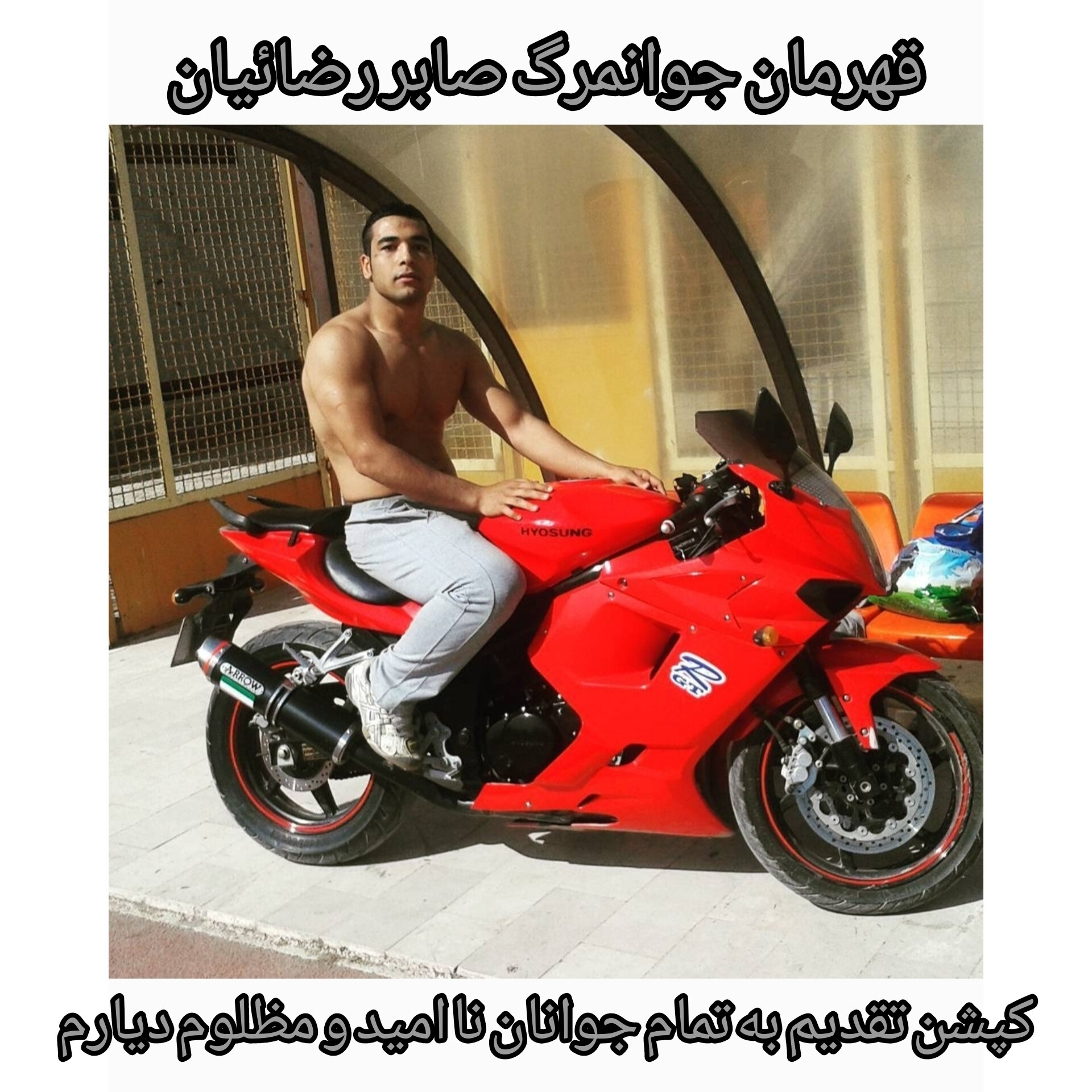 صابر رضائیان قهرمان کشتی کشور آسمانی شد