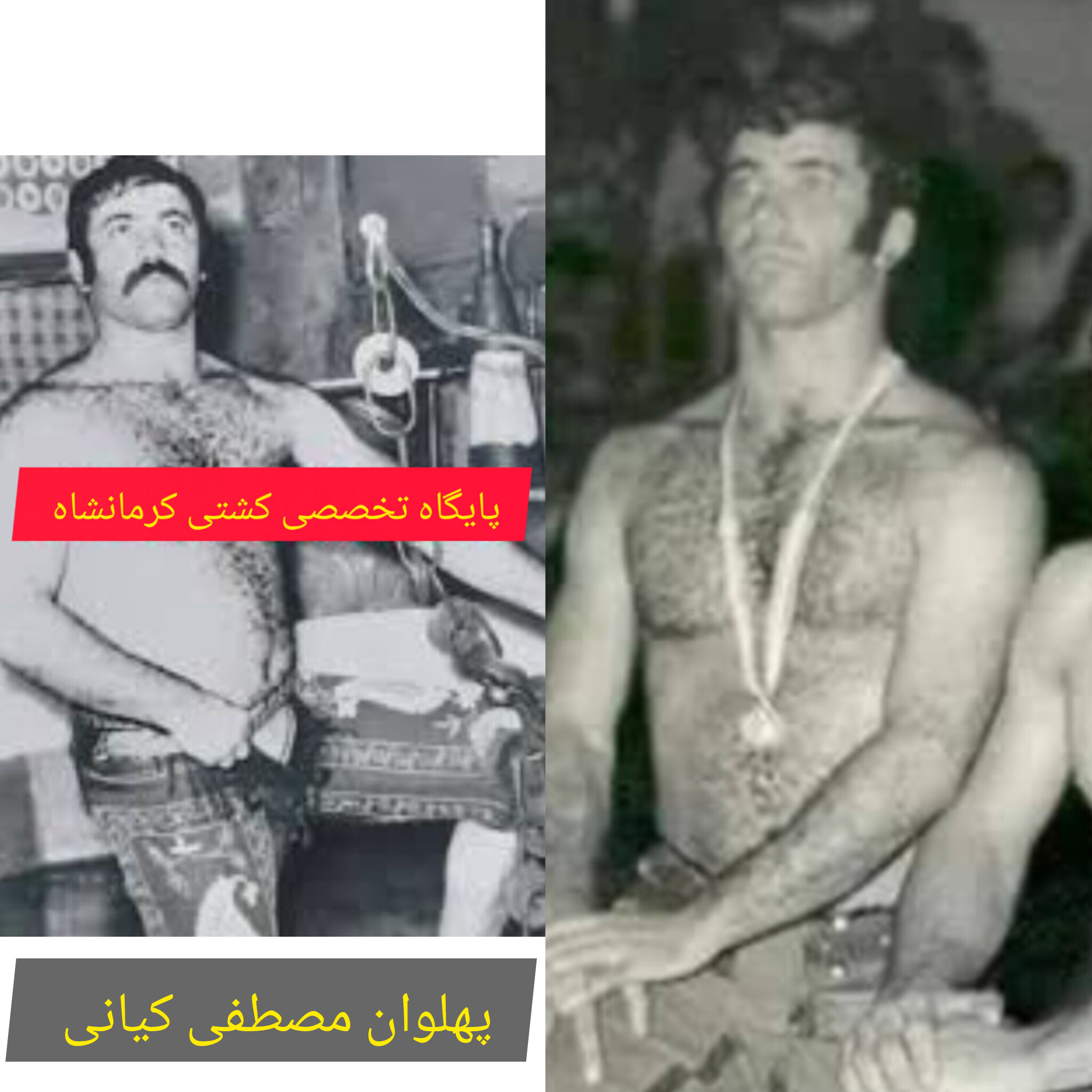 پهلوان آسمانی آقا مصطفی کیانی پرچمدارنوعدوستی