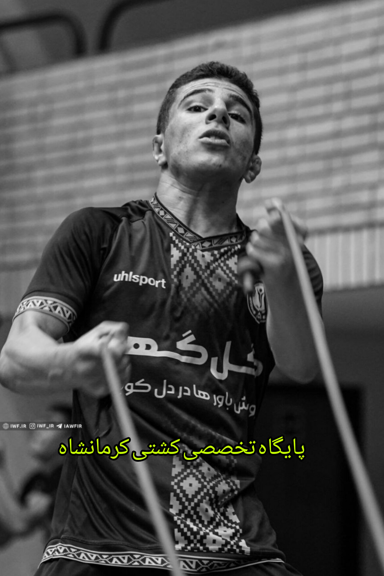 امیررضا تیموری زاد شیر لکستانی دیارمان 